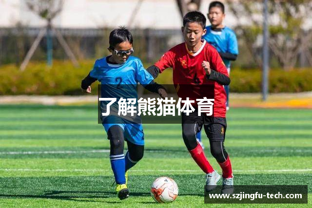 了解熊猫体育